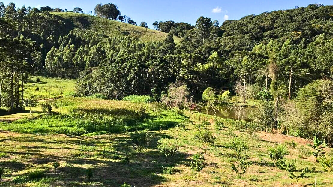 Chácara, 3 quartos, 2 hectares - Foto 32