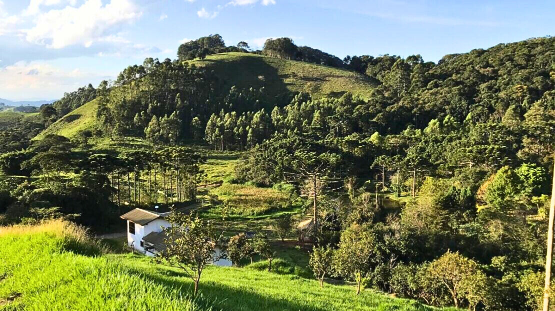 Chácara, 3 quartos, 2 hectares - Foto 28