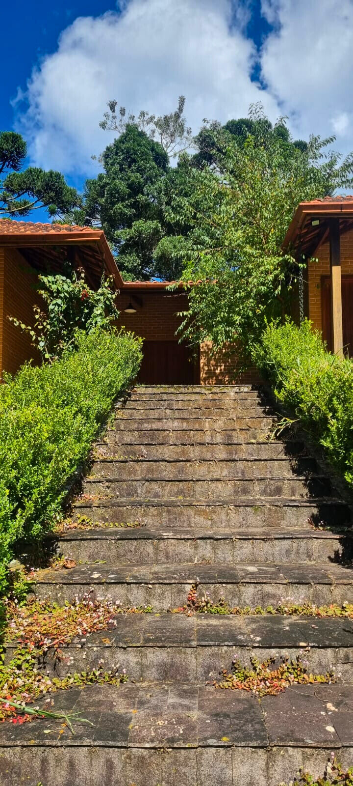 Sítio, 3 quartos, 4 hectares - Foto 4