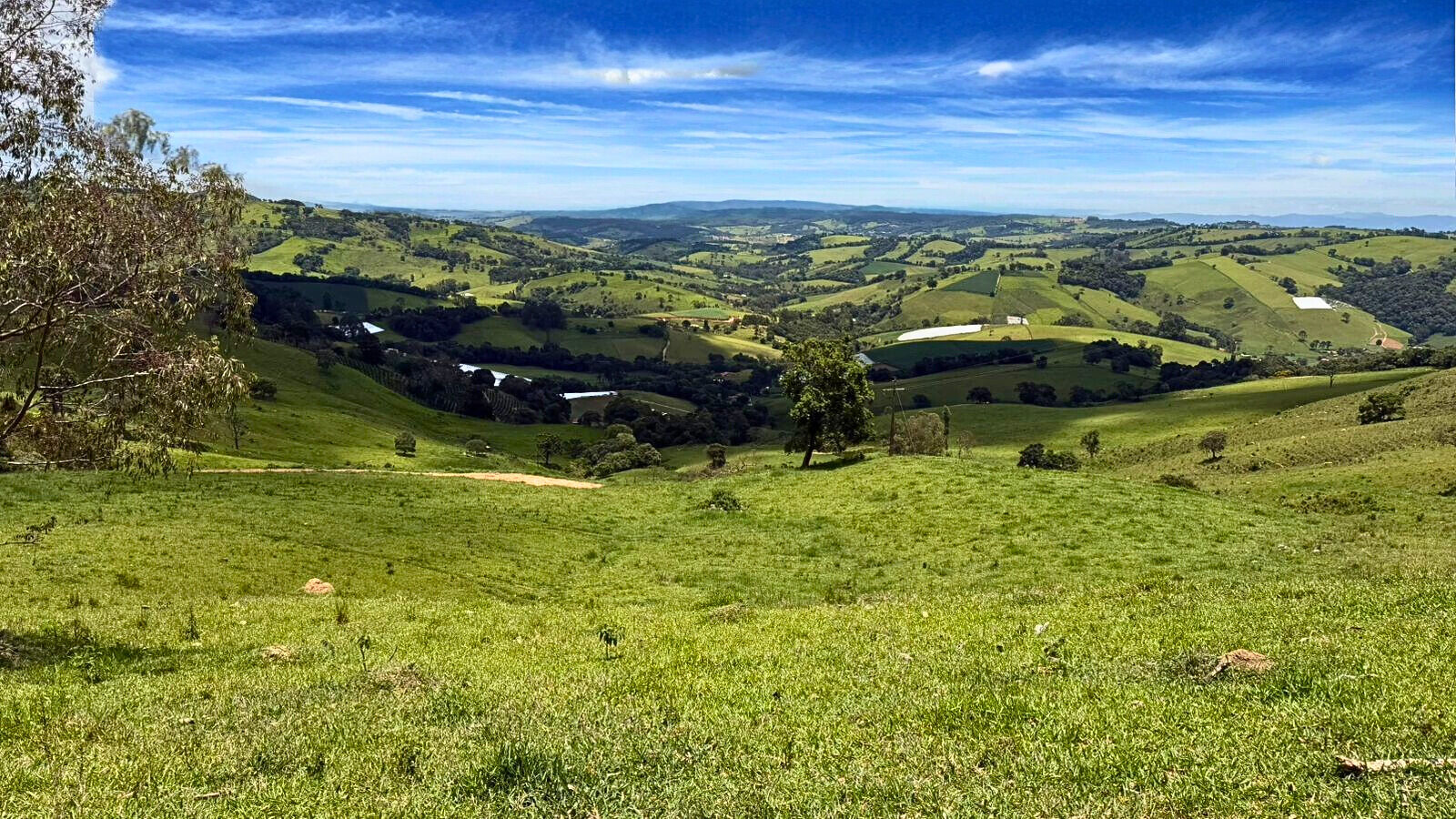 Terreno, 15 hectares - Foto 5