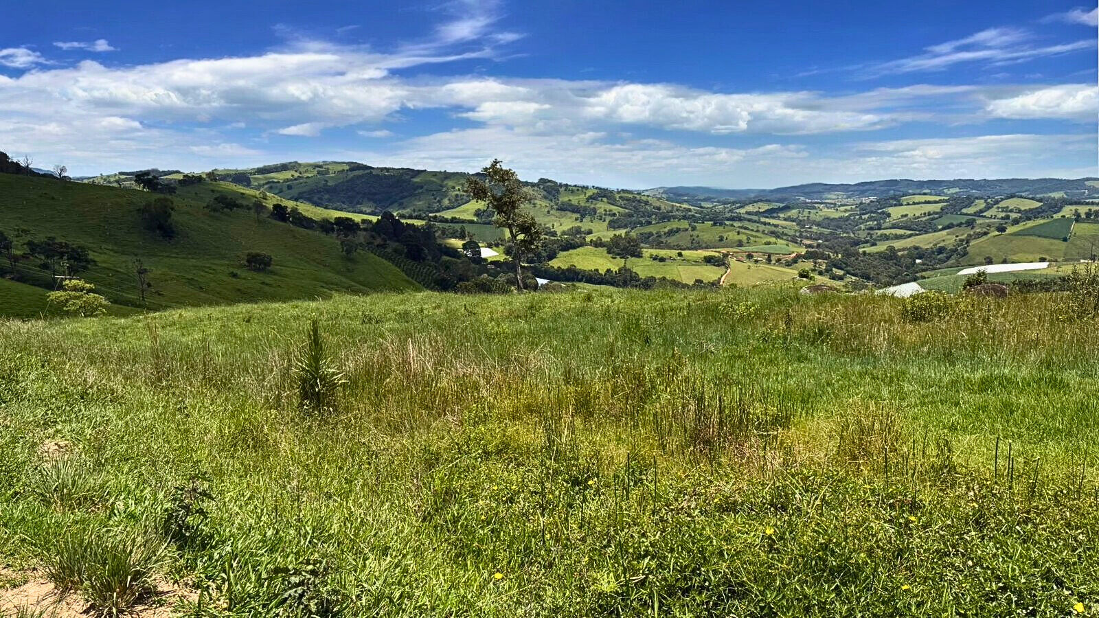 Terreno, 15 hectares - Foto 3