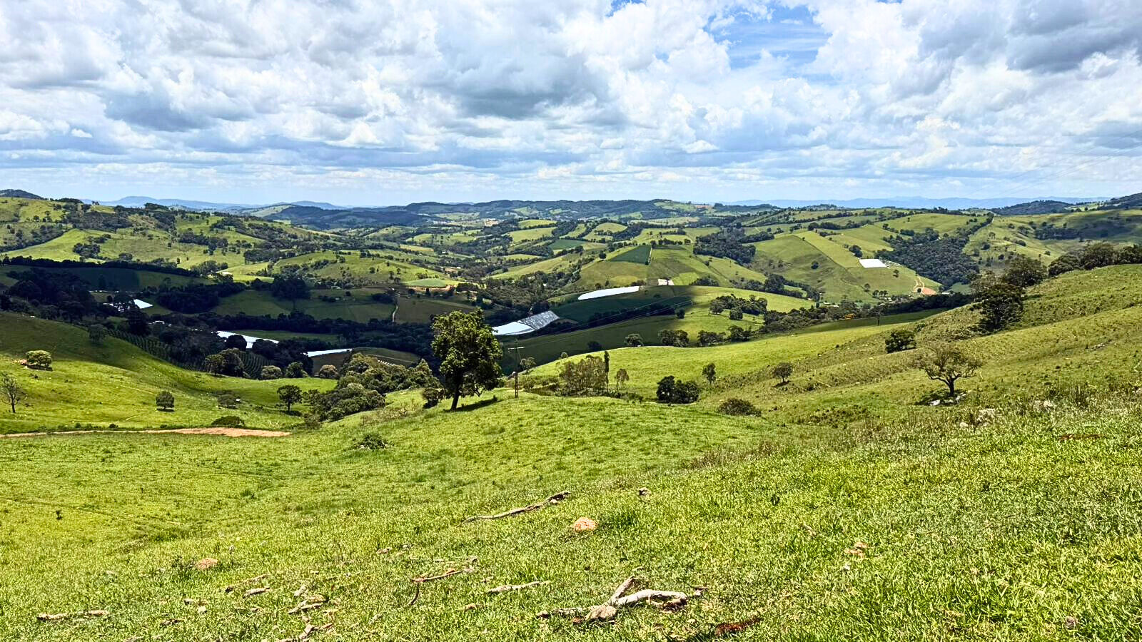 Terreno, 15 hectares - Foto 11