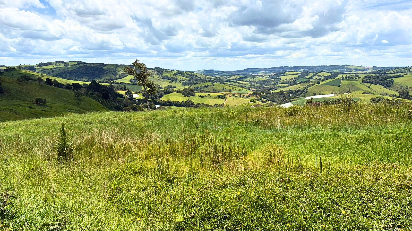 Terreno, 15 hectares - Foto 4