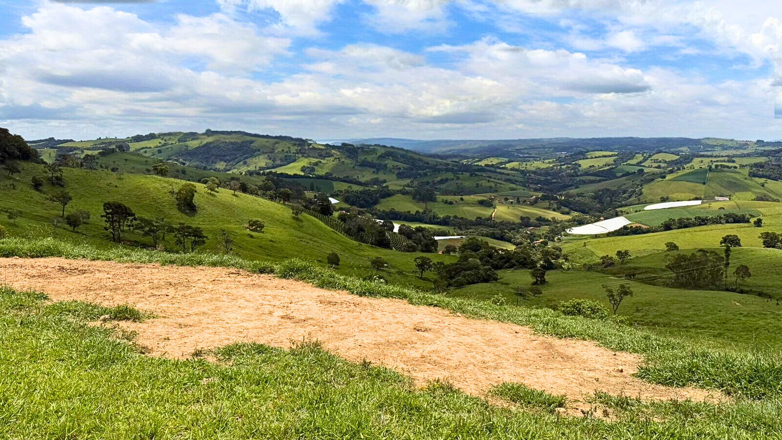 Terreno, 15 hectares - Foto 7