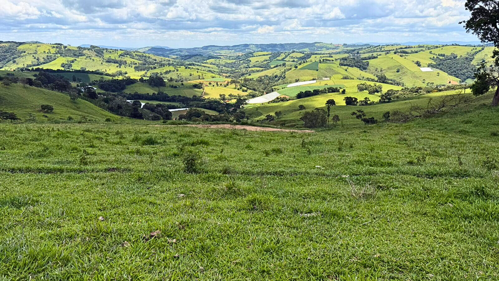 Terreno, 15 hectares - Foto 12