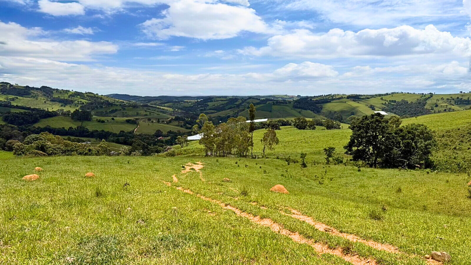 Terreno, 15 hectares - Foto 9