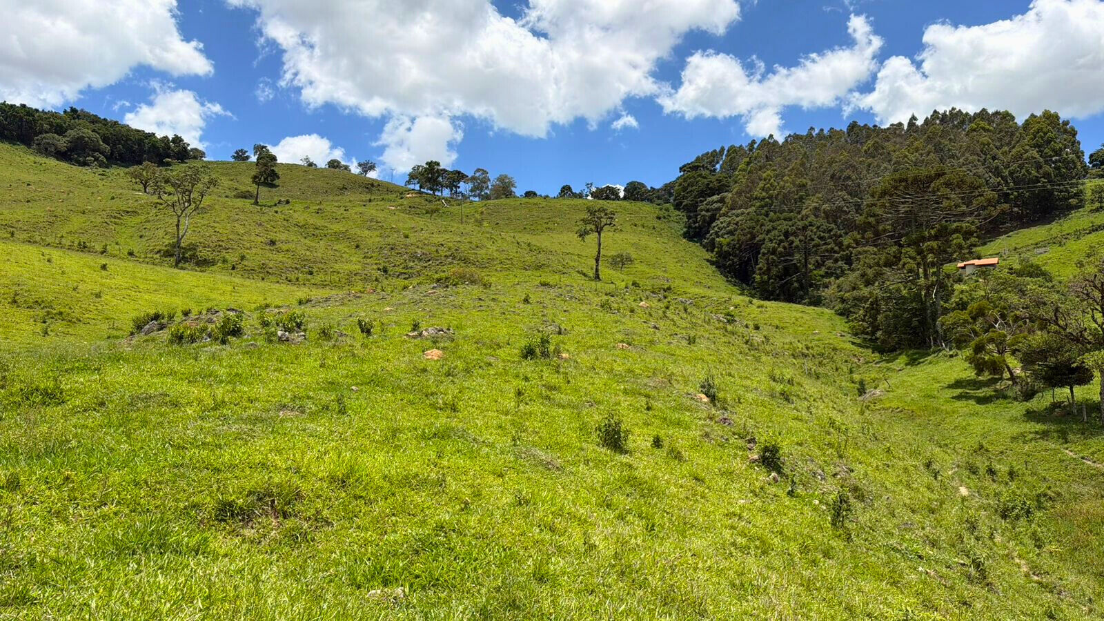 Terreno, 15 hectares - Foto 2