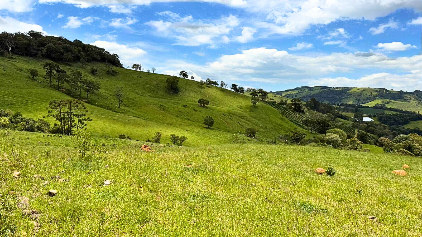 Terreno, 15 hectares - Foto 1