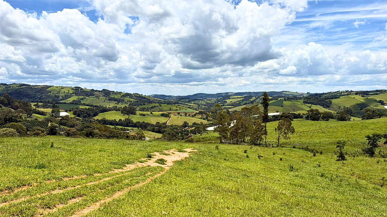 Terreno, 15 hectares - Foto 10