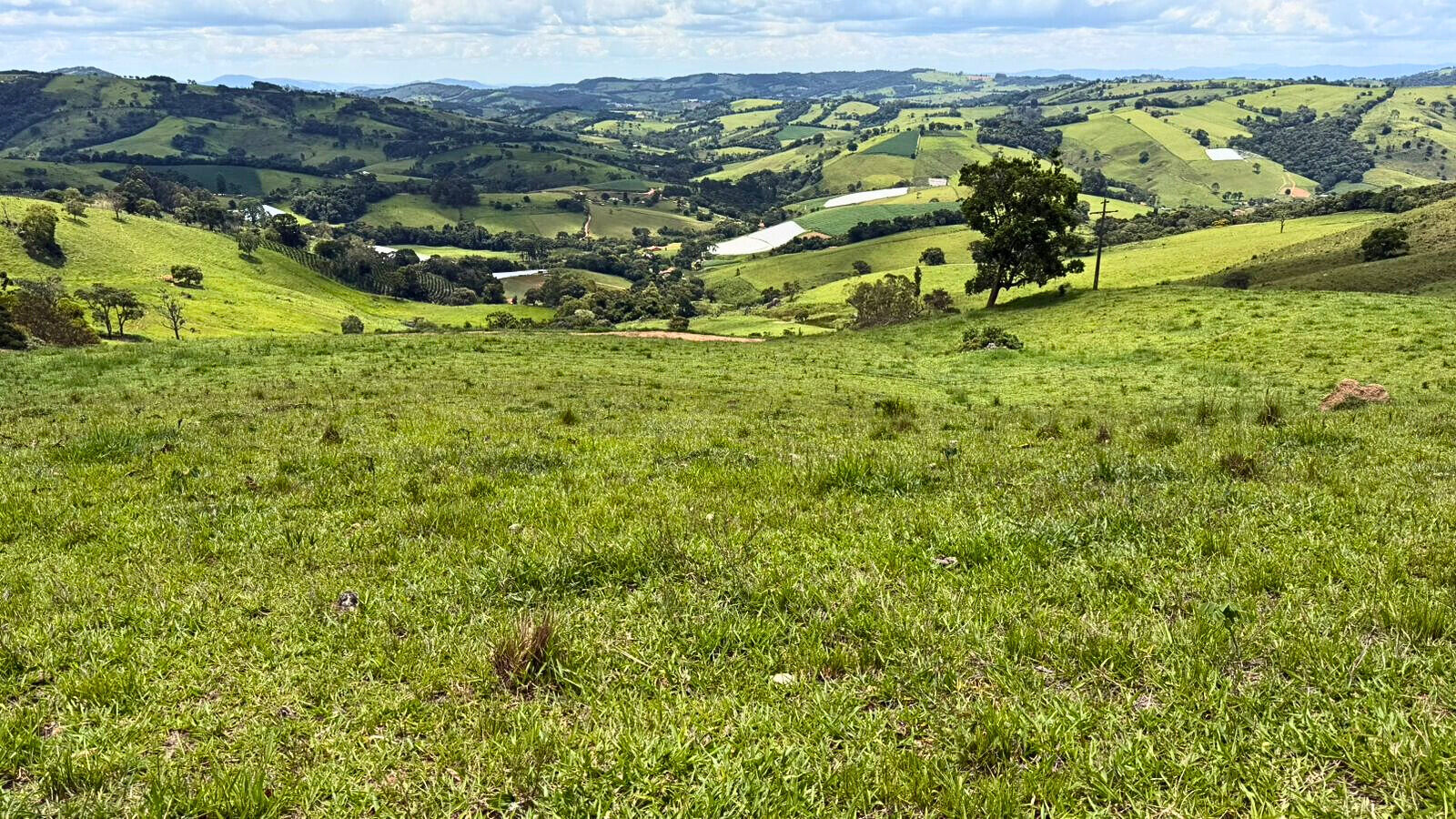 Terreno, 15 hectares - Foto 6