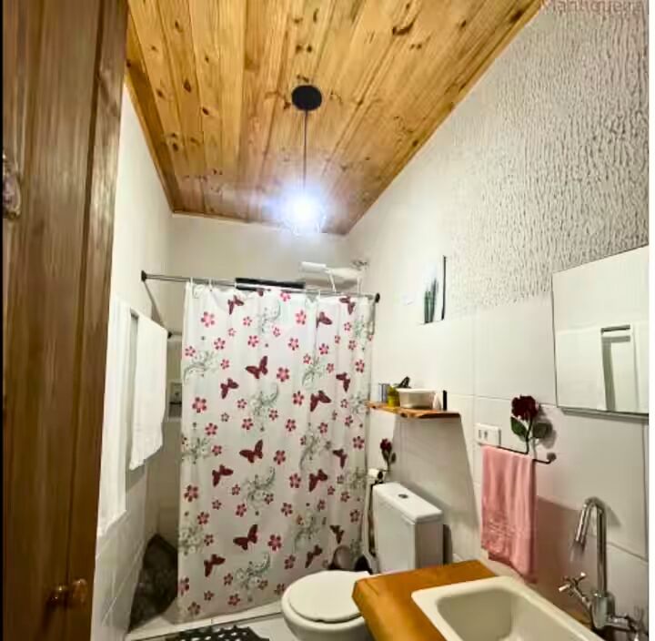 Sítio, 3 quartos, 2750 m² - Foto 19