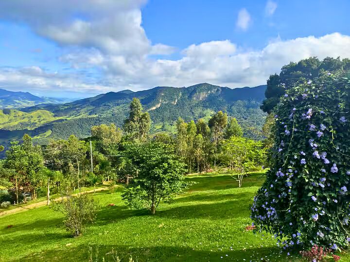 Sítio, 3 quartos, 3 hectares - Foto 20