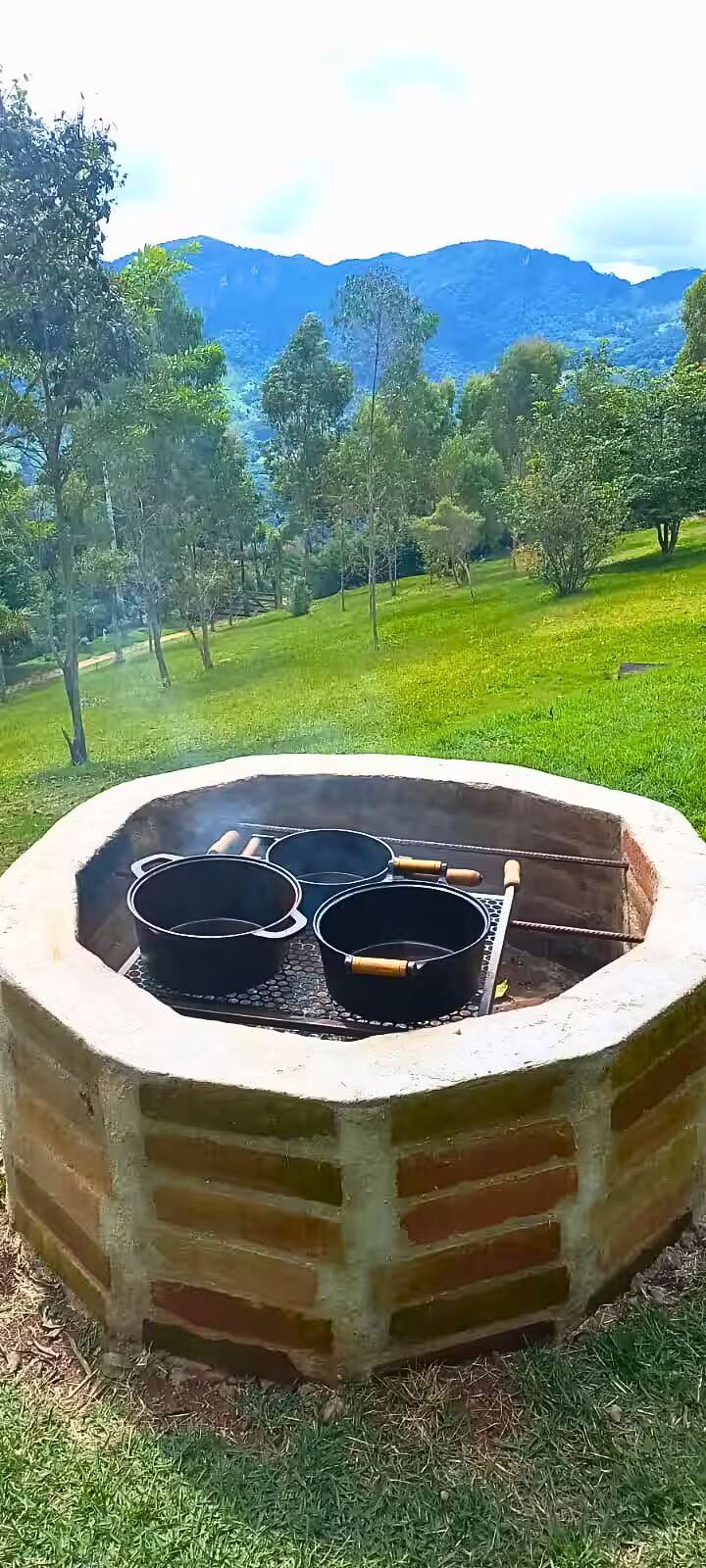 Sítio, 3 quartos, 3 hectares - Foto 33