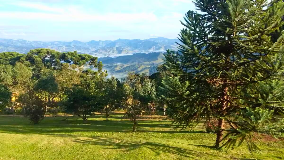 Sítio, 3 quartos, 3 hectares - Foto 11