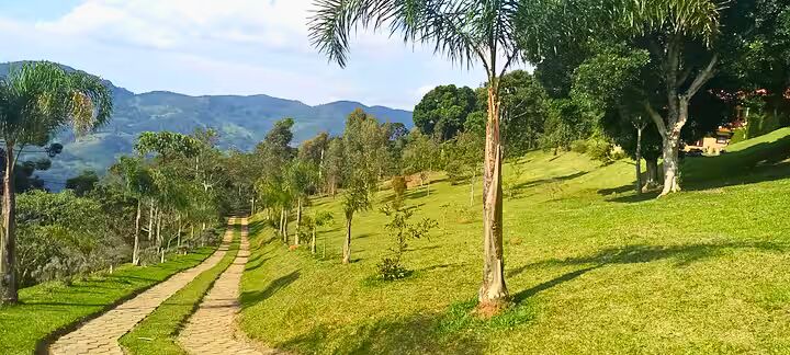 Sítio, 3 quartos, 3 hectares - Foto 38