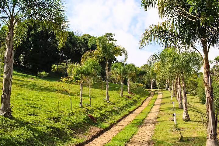 Sítio, 3 quartos, 3 hectares - Foto 16