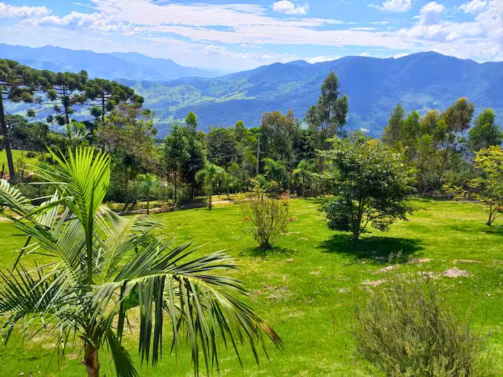 Sítio, 3 quartos, 3 hectares - Foto 15