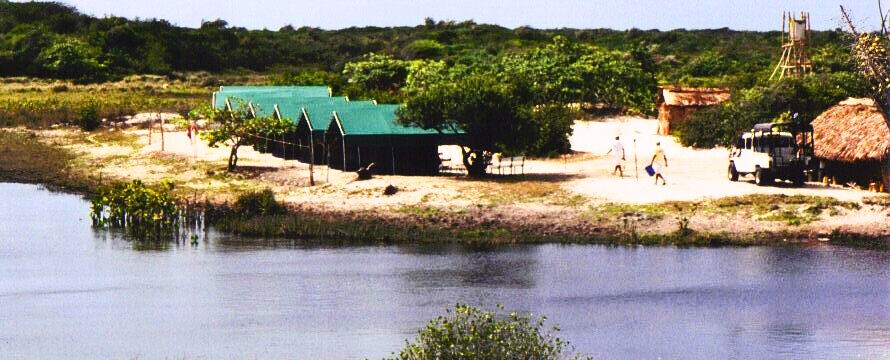 Terreno, 43 hectares - Foto 4