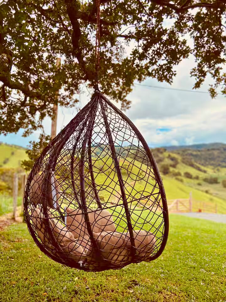 Casa, 2 quartos, 70 m² - Foto 12