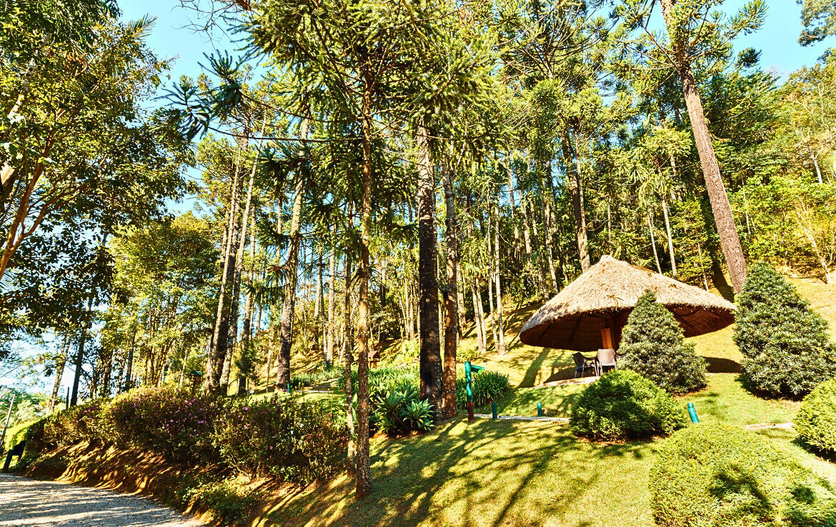 Casa, 4 quartos, 330 m² - Foto 34