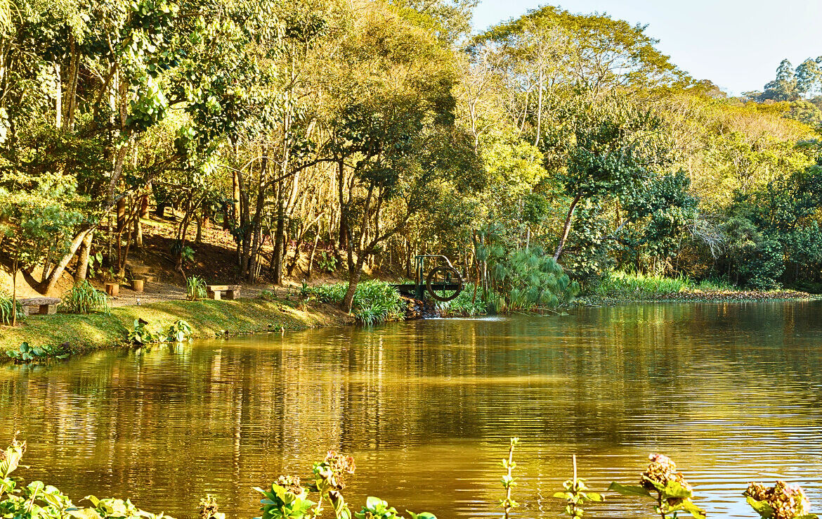 Casa, 4 quartos, 330 m² - Foto 31