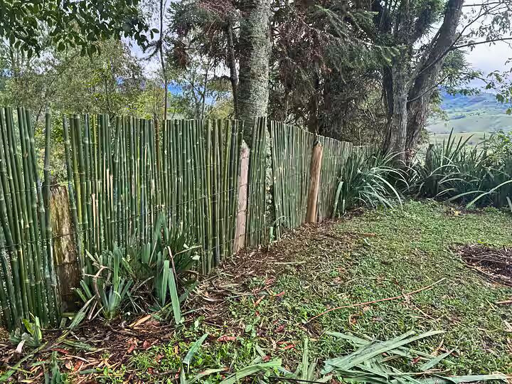 Casa, 3 quartos, 150 m² - Foto 41