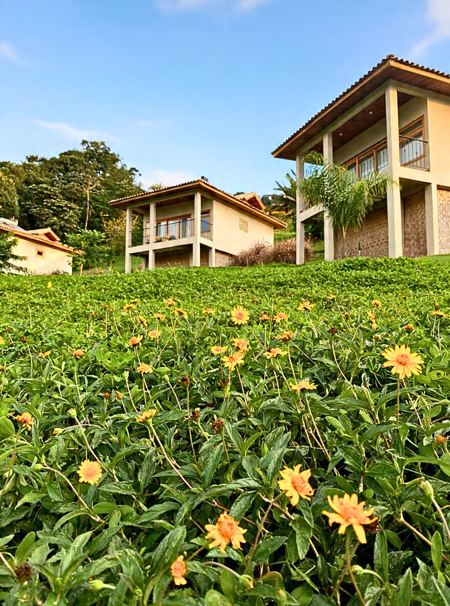 Casa, 800 m² - Foto 36