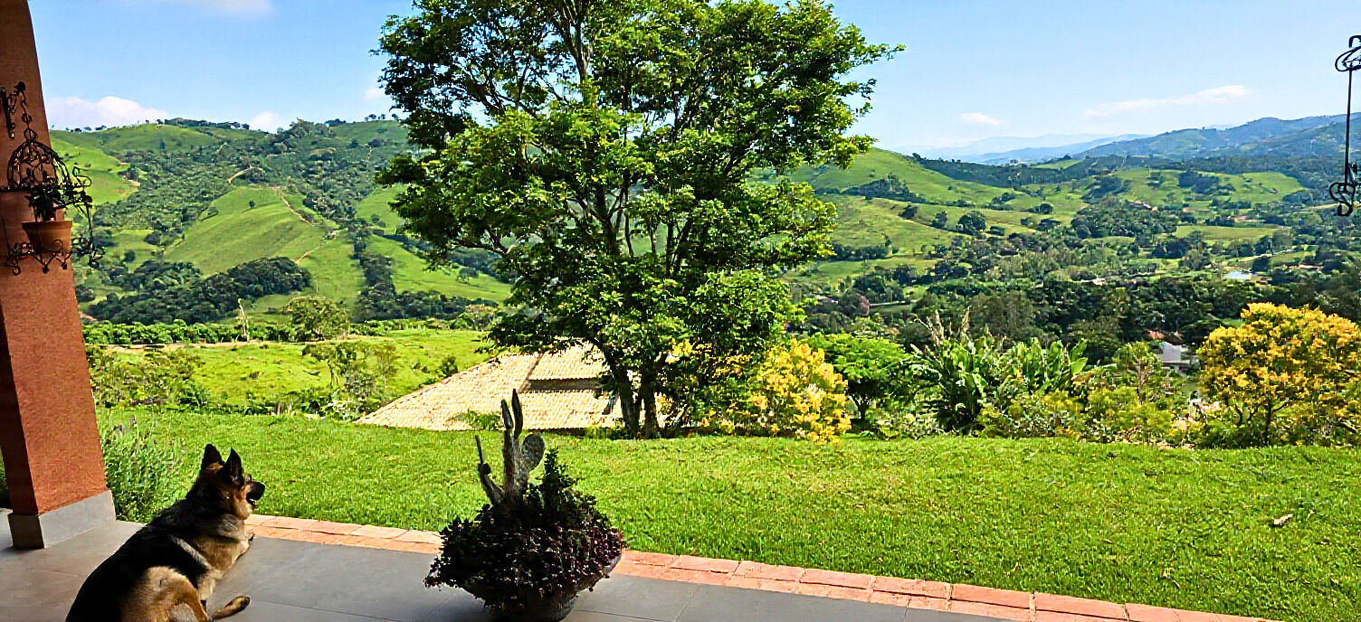 Casa, 800 m² - Foto 5