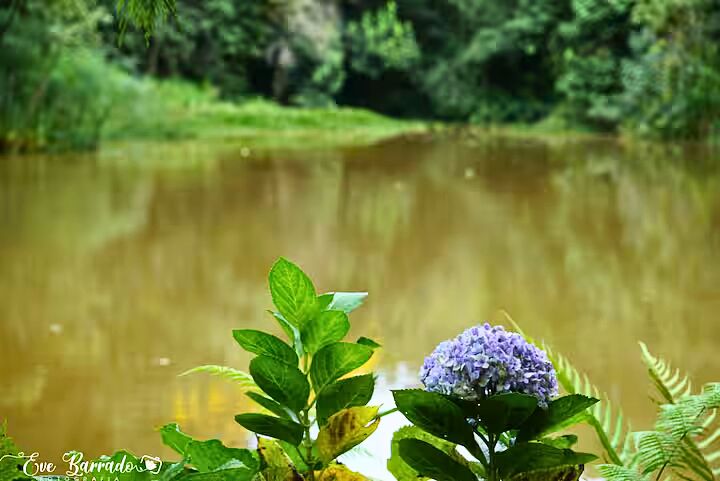 Casa de Condomínio, 2 quartos - Foto 34