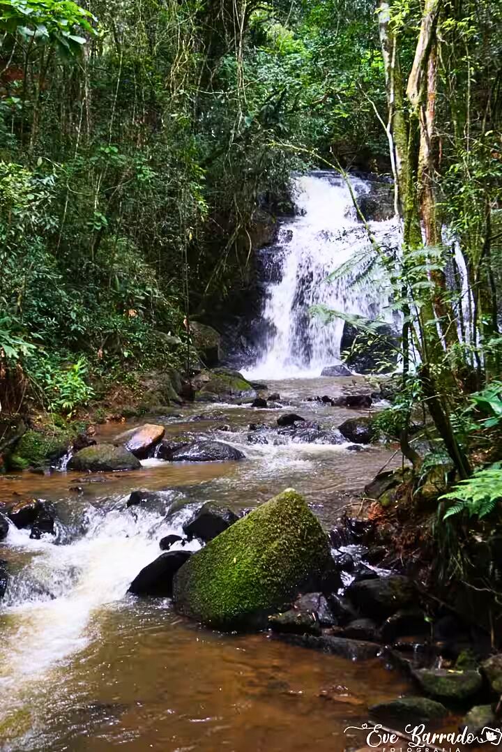 Casa de Condomínio, 2 quartos - Foto 22