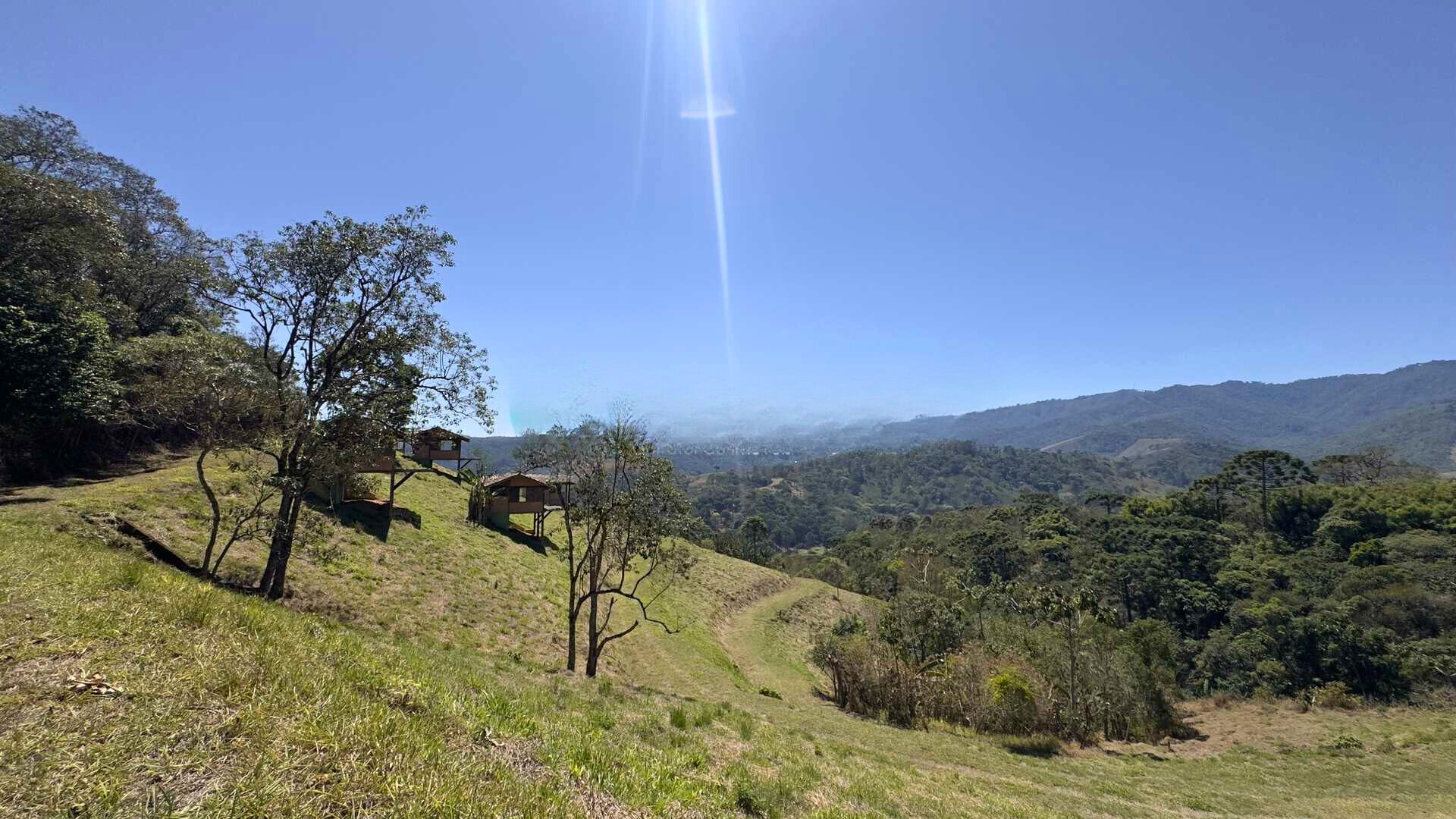 Terreno, 8 hectares - Foto 6
