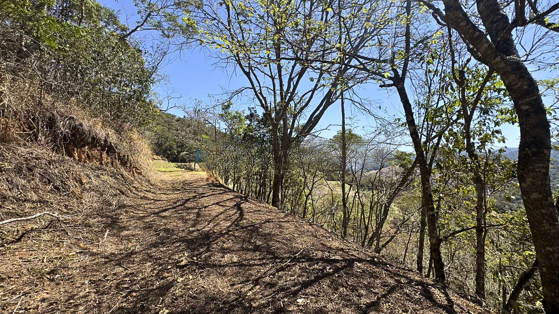 Terreno, 8 hectares - Foto 13