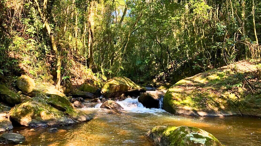 Casa, 3 quartos, 209 m² - Foto 12