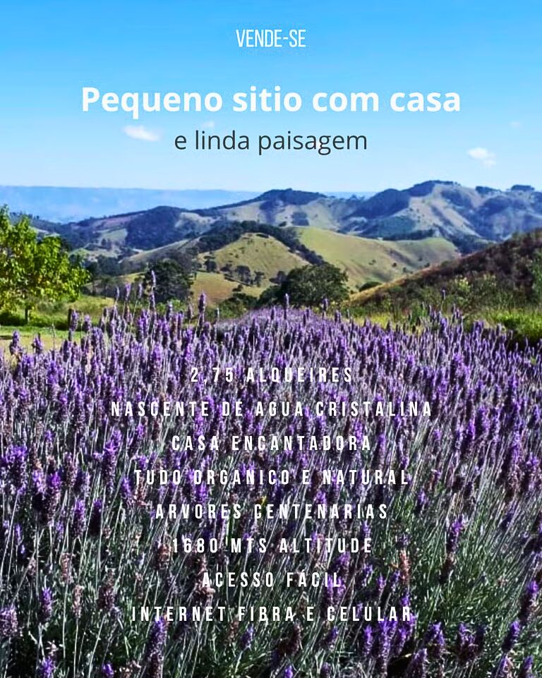 Chácara, 2 quartos, 7 hectares - Foto 12