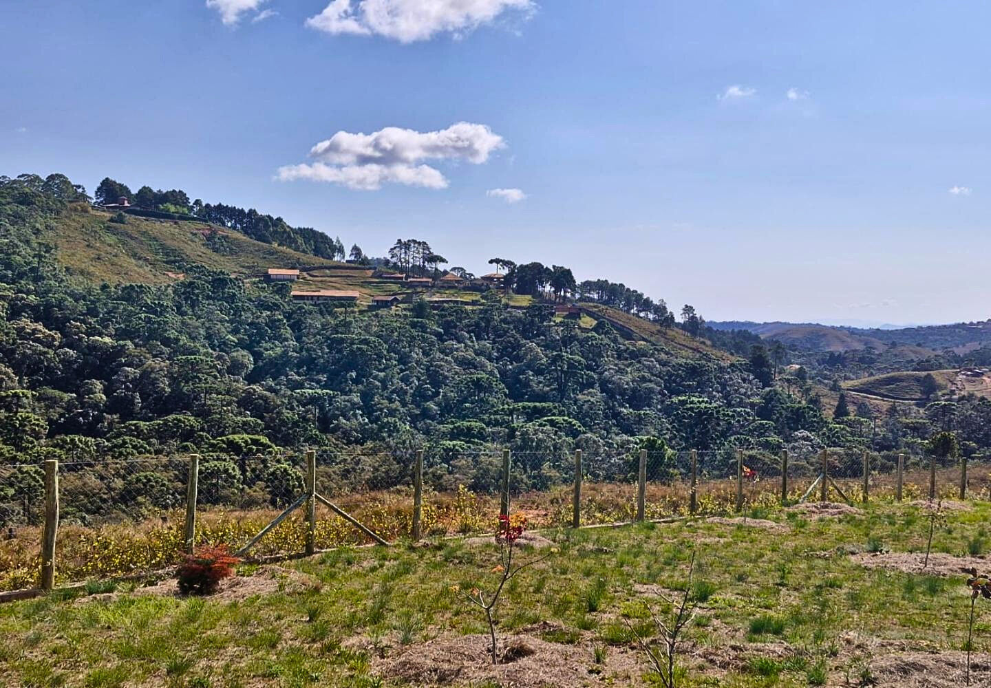 Terreno, 9300 m² - Foto 11