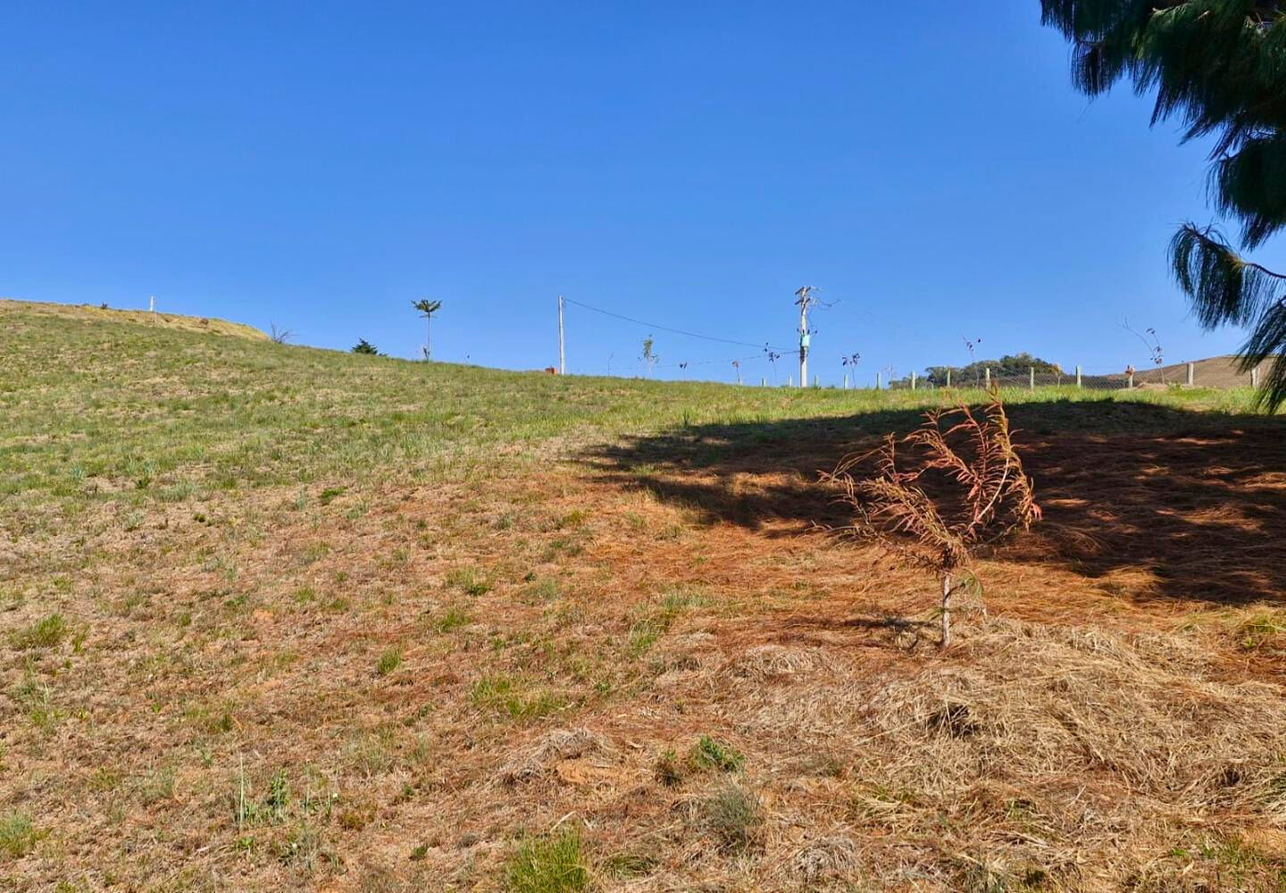 Terreno, 9300 m² - Foto 13