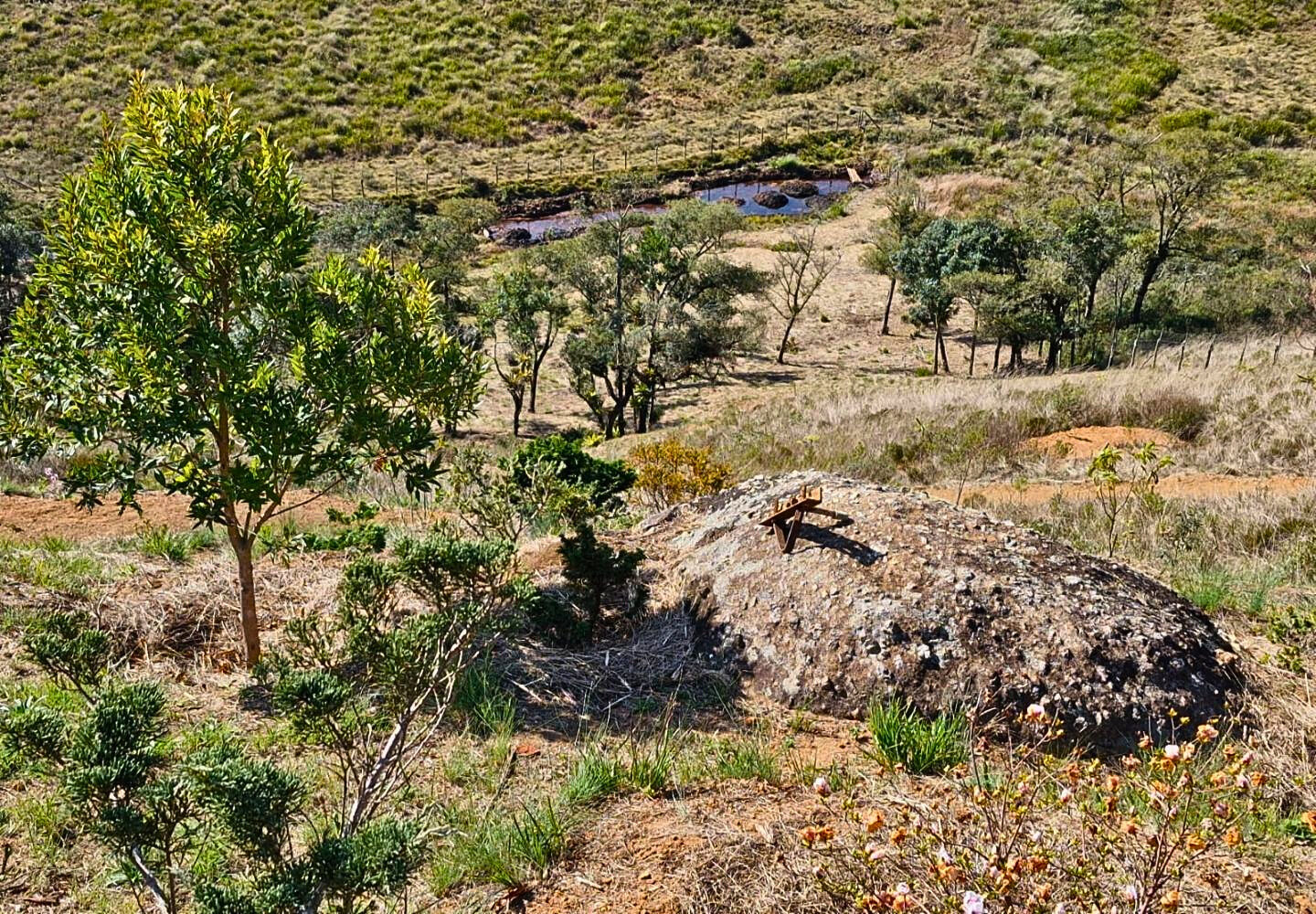 Terreno, 9300 m² - Foto 9