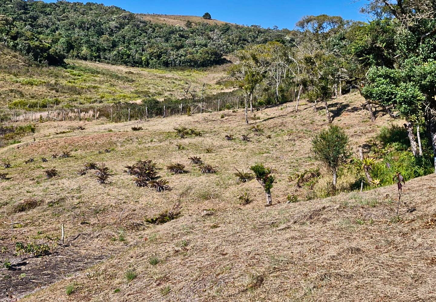 Terreno, 9300 m² - Foto 16