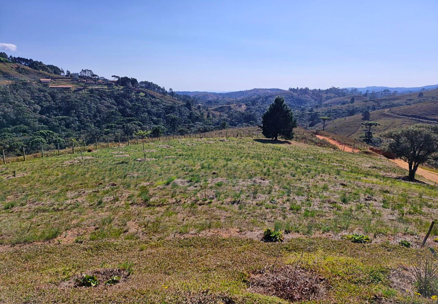 Terreno, 9300 m² - Foto 1