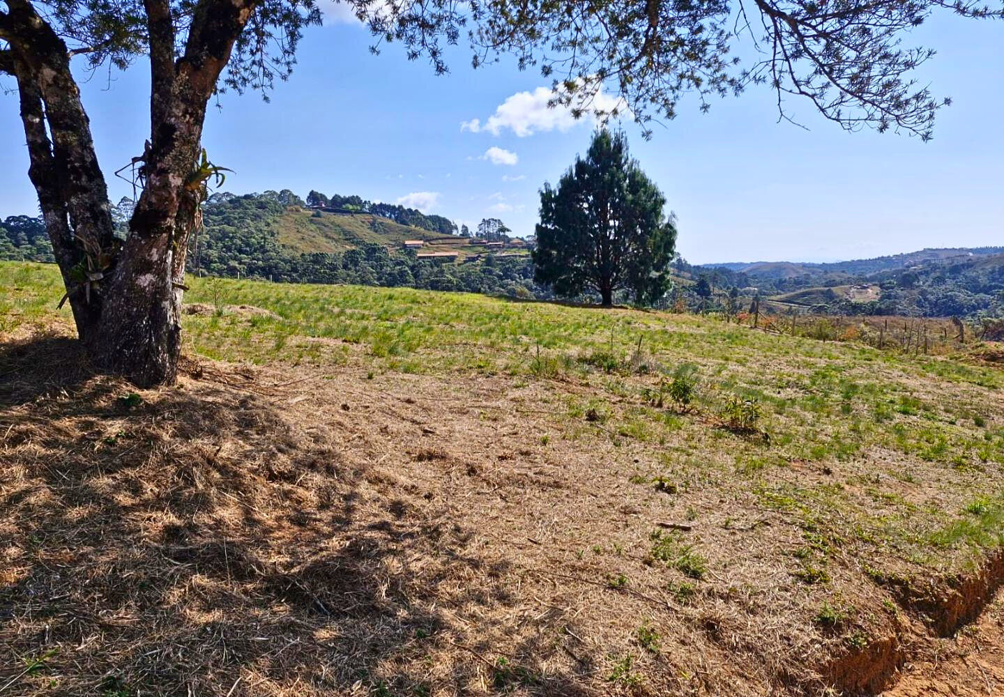 Terreno, 9300 m² - Foto 14