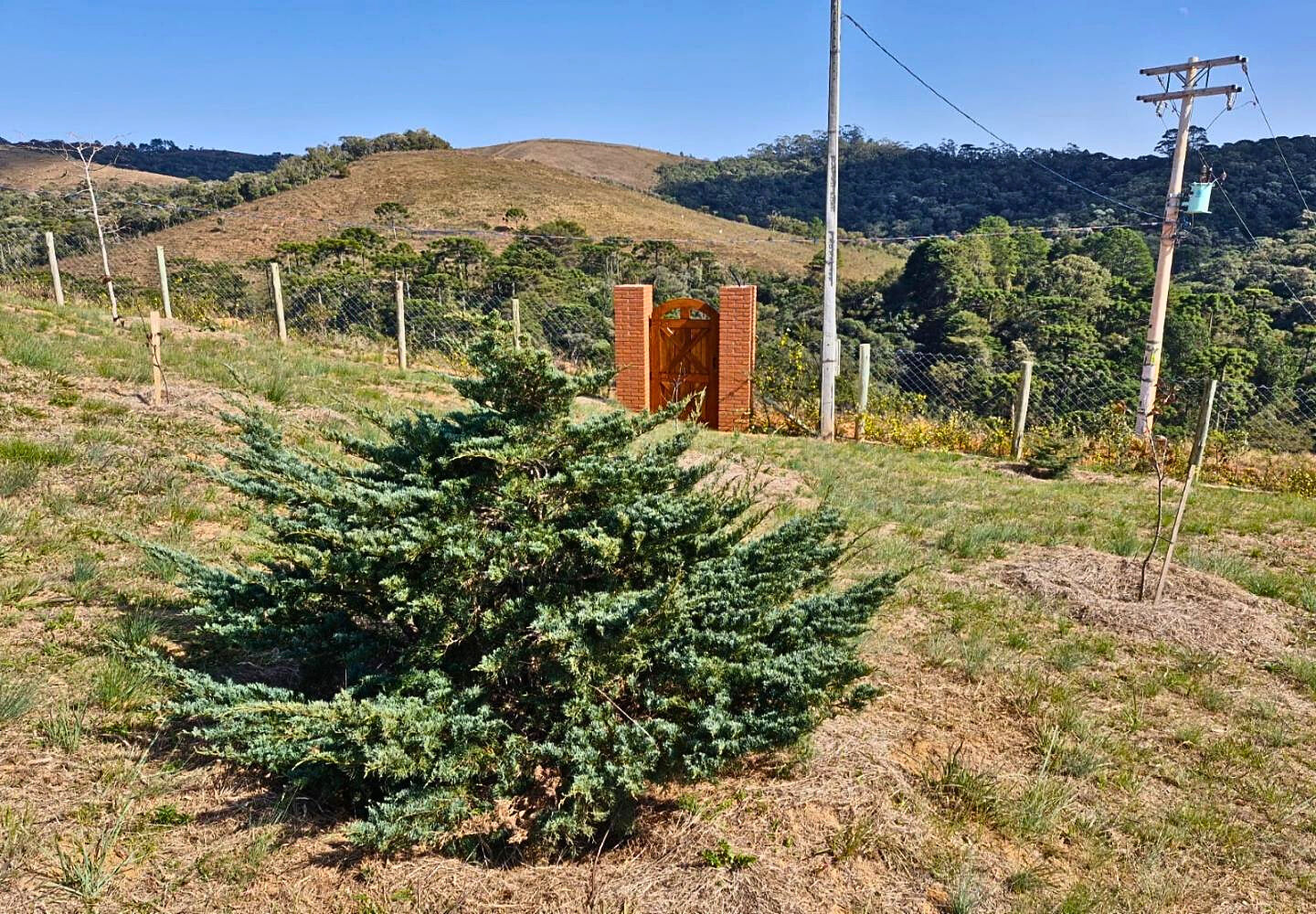 Terreno, 9300 m² - Foto 4