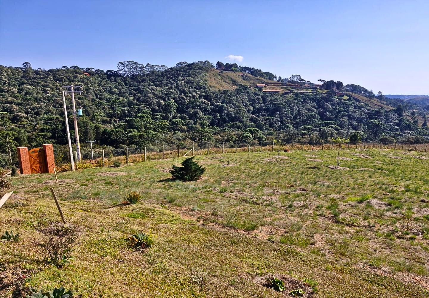 Terreno, 9300 m² - Foto 5