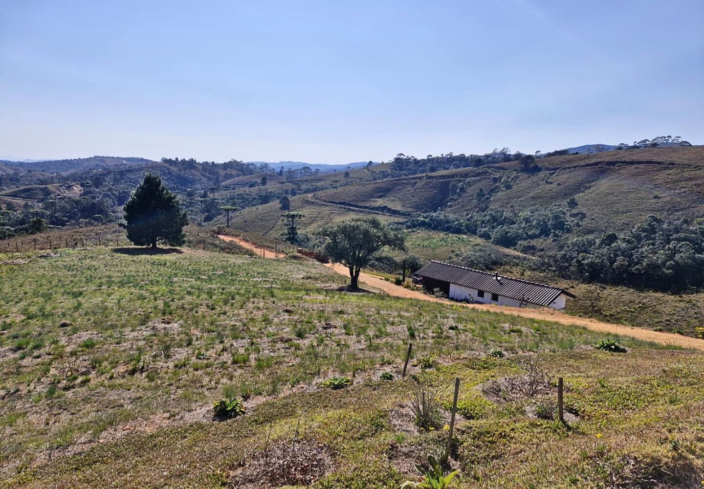 Terreno, 9300 m² - Foto 6