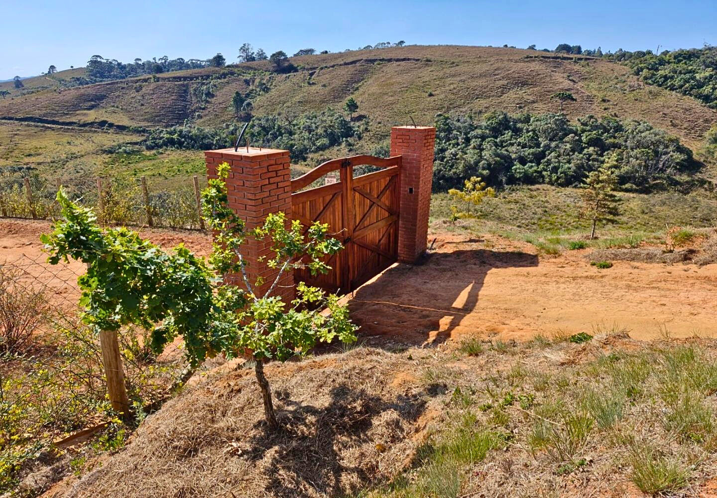 Terreno, 9300 m² - Foto 2