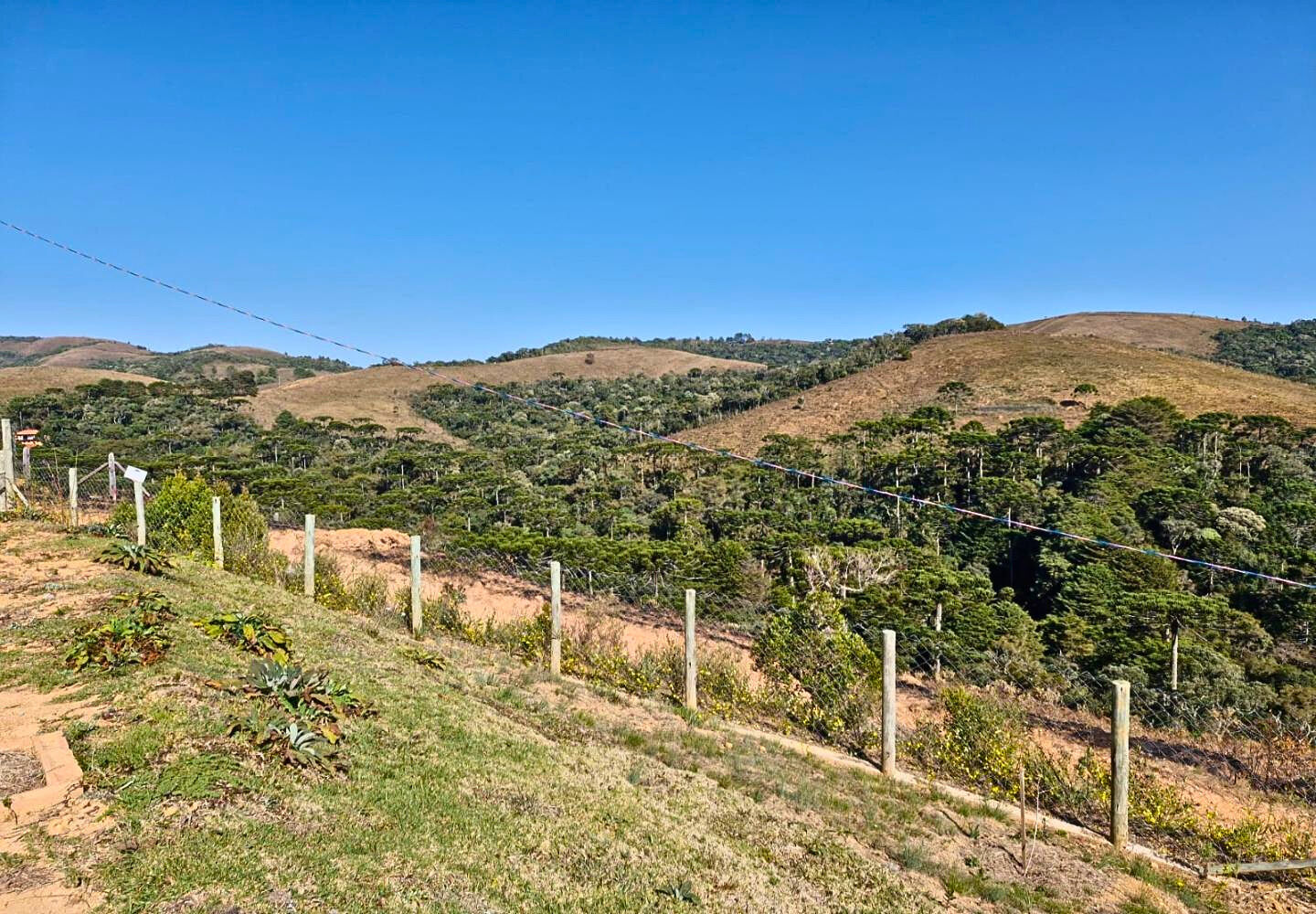 Terreno, 9300 m² - Foto 7