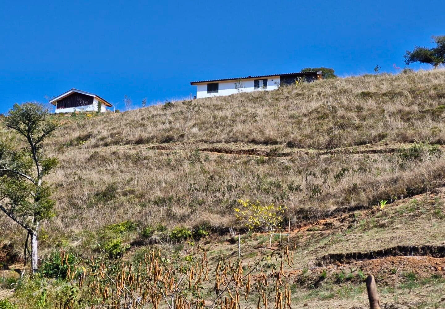 Terreno, 9300 m² - Foto 23