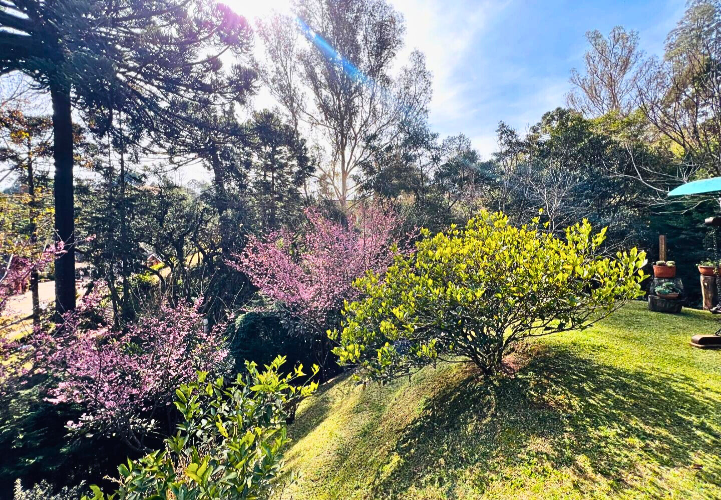 Casa, 3 quartos, 203 m² - Foto 17