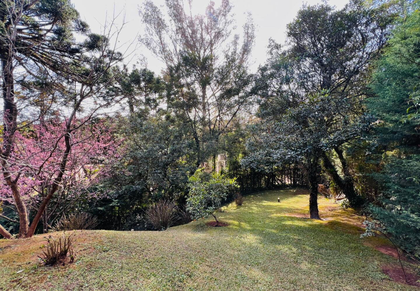 Casa, 3 quartos, 203 m² - Foto 6