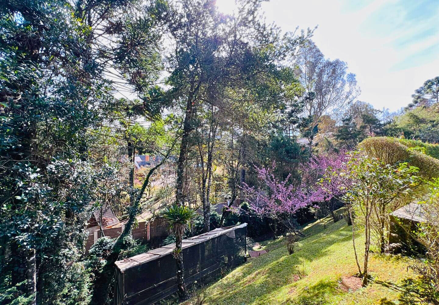 Casa, 3 quartos, 203 m² - Foto 34