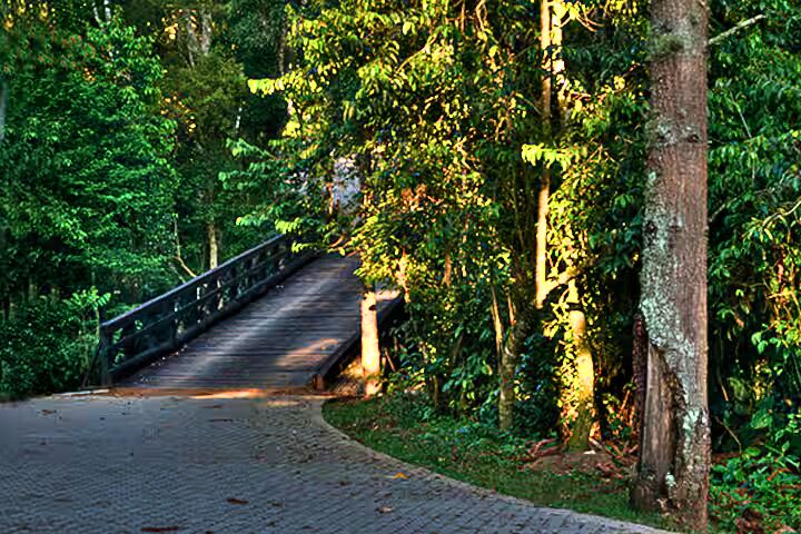 Casa, 4 quartos, 348 m² - Foto 37